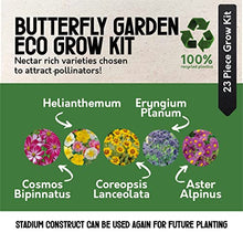 Load image into Gallery viewer, Butterfly Garden Grow Your Own Wild Flowers at Home Kit. Attract Butterflies with These Wild Flower Seeds in an Eco Grow Kit, 100% Recyclable and Made with 100% Recycled Materials
