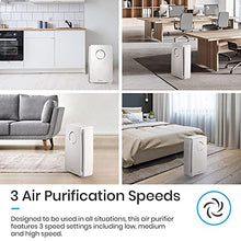 Load image into Gallery viewer, Air Purifier for Dust Mites