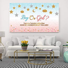 Load image into Gallery viewer, Pink and Blue Gender Reveal Decorations Girl or Boy Pregnancy Announcement Banner Gender Surprise Backdrop Background Twinkle Twinkle Little Star for Baby Shower, 72.8 x 43.3 Inch