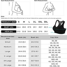 Load image into Gallery viewer, FITTIN Racerback Sports Bras Pack of 3 Padded Seamless Med Impact Support for Yoga Gym Workout Fitness L