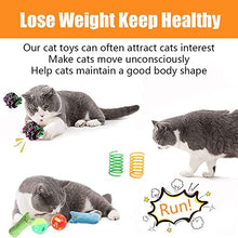 Load image into Gallery viewer, 12 Pcs Cat Toys for Indoor Cats Kitten Plush Catnip Toy Cat Teeth Cleaning Toys Interactive Cat Feather Teaser Wand Spring Toy