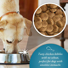 Load image into Gallery viewer, Arkwrights Wheat-Free Sensitive Complete Extra Chicken Dry Dog Food 15kg - Sensitive Nutrition for Working Adult Dogs