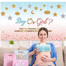 Load image into Gallery viewer, Pink and Blue Gender Reveal Decorations Girl or Boy Pregnancy Announcement Banner Gender Surprise Backdrop Background Twinkle Twinkle Little Star for Baby Shower, 72.8 x 43.3 Inch