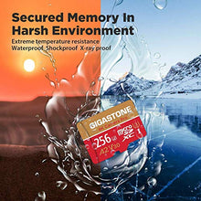 Load image into Gallery viewer, Gigastone Micro SD Card 256GB with SD Adapter + Mini-case, 4K Camera Pro, 4K UHD Video Recording, GoPro SD card Action Camera Compatible, R/W up to 100/60MB/s, MicroSDXC UHS-I A2 V30 U3 Class 10