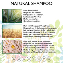 Load image into Gallery viewer, 98.5% Natural SHAMPOO - ALOE VERA, POMEGRANATE, SEA BUCKTHORN, SWEET ORANGE & CEDARWOOD - 250ml by AMOR FLORUM. Sulfate Free, Parabens Free. Concentrated, Gentle. pH 5.5 Balanced.