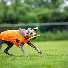 Load image into Gallery viewer, SKIPDAWG Interactive Dog Tug Toy, Flying Disc Dog Toy Light Weight TPR/Nylon Fabric Non-Toxic Material, Pet Training Toys/Outdoor Exercise Toys for Dogs, Diameter 9 Inches