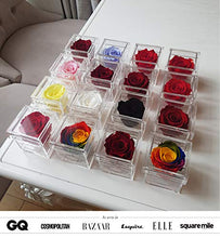 Load image into Gallery viewer, Eternal Petals Solo - A Real Rose That Lasts A Year - Perfect Unique Gift for Women, Men, Birthday Gift (Deep Red)