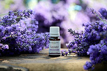 Load image into Gallery viewer, Fuse Scent Lavender Essential Oil - 100% Pure & Natural – Scented Oil, UNDILUTED, Premium – Perfect for Aromatherapy, Relaxation & More! – 10ml