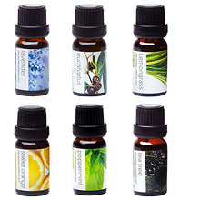Load image into Gallery viewer, Essential Oils by PURE AROMA 100% Pure Therapeutic Grade Oils kit- Top 6 Aromatherapy Oils Gift Set-6 Pack, 10ML(Eucalyptus, Lavender, Lemon Grass, Orange, Peppermint, Tea Tree)