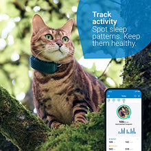 Load image into Gallery viewer, Tractive GPS CAT 4 (2022). Cat tracker. Follow every step in real-time. Unlimited Range. Activity Monitoring (w/ midnight blue collar attachment)