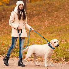 Load image into Gallery viewer, haapaw Reflective Dog Collar Padded with Soft Neoprene Breathable Adjustable Nylon Dog Collars for Small Medium Large Dogs