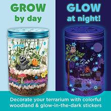 Load image into Gallery viewer, Creativity for Kids Grow 'N Glow Terrarium Kit - Art and Craft Gift Educational Science Project Activities for Kids