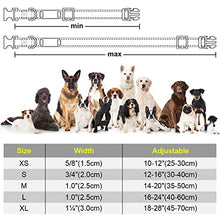 Load image into Gallery viewer, TagME Personalised Dog Collar Reflective Padded Collar for Medium Dogs with Custom Engraved Slide On Name Plate,Red M