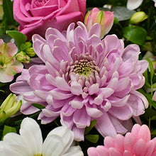 Load image into Gallery viewer, Strawberries & Cream Bouquet, Beautiful Fresh Flowers with Free Delivery, Perfect for Birthdays, Anniversaries and Thank You Gifts
