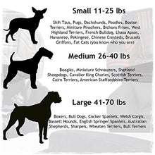 Load image into Gallery viewer, Gleneagles Designer Dog Bed Sofa, Very Stylish Pet Bed, 3 sizes, 4 colours In Tartan Design (Large 96 x 64 x 34 cm, Nutmeg Check)
