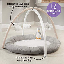 Load image into Gallery viewer, Nuby Penguin Baby Play Gym, with Padded Activity Play Mat Base, Grey