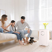 Load image into Gallery viewer, Air Purifier for Dust Mites