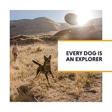 Load image into Gallery viewer, Ruffwear Flat Out Collar, Classic Dog Collar for Small to Very Small Breeds, Adjustable Fit, Size: Small (28-36 cm/11-14 in), Forest Horizon…