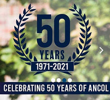 Load image into Gallery viewer, Ancol Viva Lightweight Buckle Collar Blue , Collar Size 3 to fit 28-36cm , Weather Proof