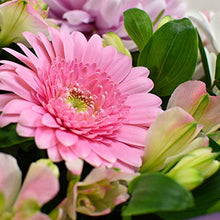 Load image into Gallery viewer, Strawberries & Cream Bouquet, Beautiful Fresh Flowers with Free Delivery, Perfect for Birthdays, Anniversaries and Thank You Gifts