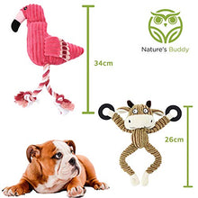 Load image into Gallery viewer, Buddy Wild Plush Dog Toys - Squeaky, cuddly soft chew bundle - 5 pack set - durable, interactive toys for puppy and small dogs - variety with 3 no stuffing animals