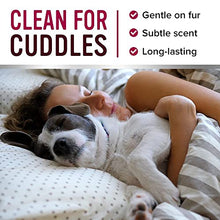 Load image into Gallery viewer, Pro Pooch Dog Perfume Spray - Dog Deodorant Spray & Cologne w/Fresh Baby Powder Scent - Hypoallergenic & Vegan Pet Smell Corrector - 250ml