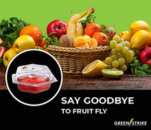 Load image into Gallery viewer, Beapco 10036 Pre-Filled Fruit Fly Trap, Pack of 6, Clear, 20 in