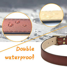 Load image into Gallery viewer, Adjustable Genuine Soft Leather Dog Collar of Padded Best for Small Medium Large Breed Dogs(M, Brown)