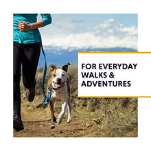 Load image into Gallery viewer, Ruffwear Flat Out Collar, Classic Dog Collar for Small to Very Small Breeds, Adjustable Fit, Size: Small (28-36 cm/11-14 in), Forest Horizon…