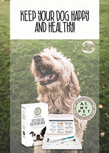 Load image into Gallery viewer, Canine Allergy Test Allergy - Dog- Household, Environmental Allergy & Food Sensitivity Test