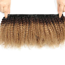 Load image into Gallery viewer, Riya 4B 4C Remy Hair Afro Kinky Curly Clip in Hair Extensions Brazilian Human Hair Clips in Real Hair Extensions for Black Women Can Be Dyed 120G/Set(12inch,Natural Black)