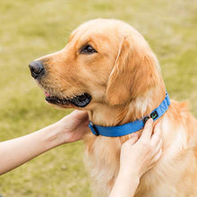 Load image into Gallery viewer, Dazzber Martingale Collars for Dogs Adjustable Durable Dog Collar Solid Color Nylon Dog Collars for Large/Medium/Small Dogs (Extra Small (Pack of 1), Royal Blue)