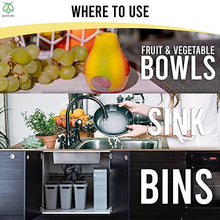 Load image into Gallery viewer, Pestmatic Smart Fruit Fly Trap, 1 Trap + 1 attractant x 15 ml bottle: 30 Day Natural Lure Supply, Ready-to-use Indoor Fruit Fly Catcher, Alternative for Fly Killer & Spray, Fruit flies insect trap