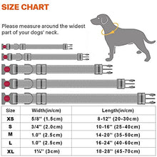 Load image into Gallery viewer, Taglory Reflective Nylon Dog Collar with Safety Buckle, Adjustable Pet Collars with Soft Neoprene Padding for Extra Large Dogs, Red