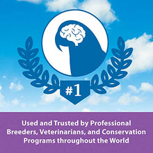 Load image into Gallery viewer, Kaytee Exact Hand Feeding For Baby Birds, 18 Ounce, 1.12 Pound (Pack of 1)