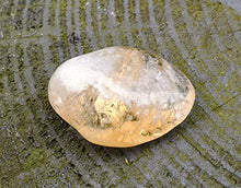 Load image into Gallery viewer, Reiki Healing Energy Charged Citrine Crystal Tumble Stone (Approx 2cm Each) Beautifully Gift Wrapped