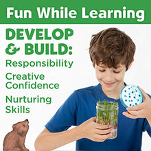 Load image into Gallery viewer, Creativity for Kids Grow 'N Glow Terrarium Kit - Art and Craft Gift Educational Science Project Activities for Kids
