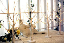 Load image into Gallery viewer, Eambrite White Christmas Tree with Lights Mini Birch Twig Tree Ornament with 24 Warm White LEDs Battery Operated Tabletop Decoration for Christmas Home Party Wedding (60cm/2ft)