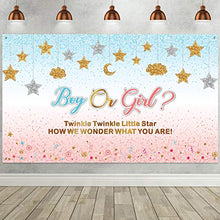 Load image into Gallery viewer, Pink and Blue Gender Reveal Decorations Girl or Boy Pregnancy Announcement Banner Gender Surprise Backdrop Background Twinkle Twinkle Little Star for Baby Shower, 72.8 x 43.3 Inch