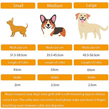 Load image into Gallery viewer, Adjustable Genuine Soft Leather Dog Collar of Padded Best for Small Medium Large Breed Dogs(M, Brown)