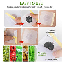 Load image into Gallery viewer, Weight Loss Patches, 90Pcs Belly Slimming Detox Patch for Fat Burning & Appetite Suppression, Slim Fast for Women
