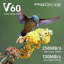 Load image into Gallery viewer, SD UHS-II 64GB Card V60 –Up to 130MB/s Write Speed and 250 MB/s Read Speed | For Professional Vloggers, Filmmakers, Photographers & Content Curators – By Prograde Digital