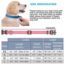 Load image into Gallery viewer, haapaw Reflective Dog Collar Padded with Soft Neoprene Breathable Adjustable Nylon Dog Collars for Small Medium Large Dogs