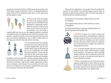 Load image into Gallery viewer, Seasons of Wicca: The Essential Guide to Rituals and Rites to Enhance Your Spiritual Journey