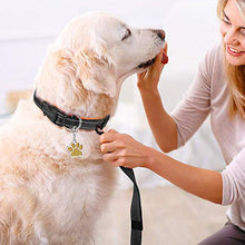 Load image into Gallery viewer, PcEoTllar Padded Dog Collar with Tag Reflective Adjustable Dogs Collars Soft Nylon Neoprene Super Light Breathable for Small Medium Large Dogs - Orange M