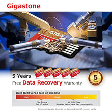 Load image into Gallery viewer, Gigastone Micro SD Card 256GB with SD Adapter + Mini-case, 4K Camera Pro, 4K UHD Video Recording, GoPro SD card Action Camera Compatible, R/W up to 100/60MB/s, MicroSDXC UHS-I A2 V30 U3 Class 10