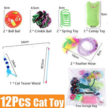Load image into Gallery viewer, 12 Pcs Cat Toys for Indoor Cats Kitten Plush Catnip Toy Cat Teeth Cleaning Toys Interactive Cat Feather Teaser Wand Spring Toy