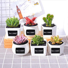 Load image into Gallery viewer, Chalkboard Labels, Joyoldelf 150Pcs Waterproof Reusable Blackboard Stickers Kit for Kitchen Organize with 1 White Chalk Pen, Removable Label Sticker to Decorate Your Pantry Storage Office (Rectangle)