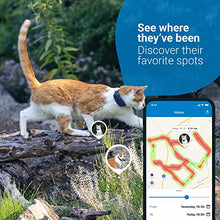 Load image into Gallery viewer, Tractive GPS CAT 4 (2022). Cat tracker. Follow every step in real-time. Unlimited Range. Activity Monitoring (w/ midnight blue collar attachment)