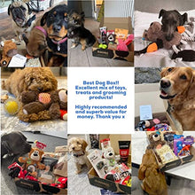 Load image into Gallery viewer, DogBox Boutique 6 Item DogBox Dog Gifts Box Dog Hamper Perfect For Dog Birthday, Christmas Or A Monthly Treat - Bursting Dog Treats, Toys And Accessories…